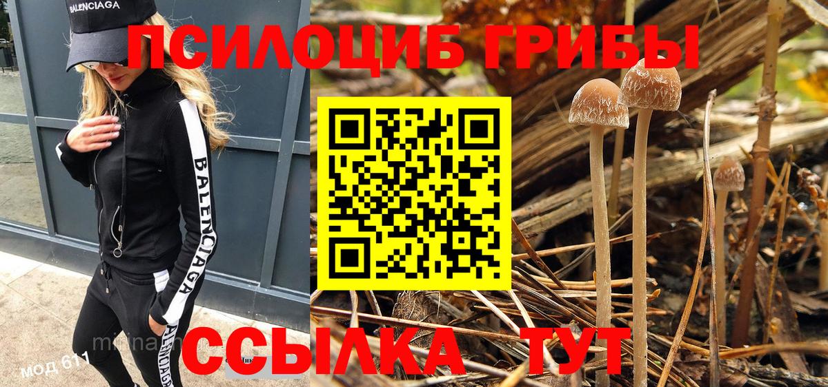 Галлюциногенные грибы Psilocybe  Вход с VPN  Галлюциногенные грибы прущие грибы  Кушва 