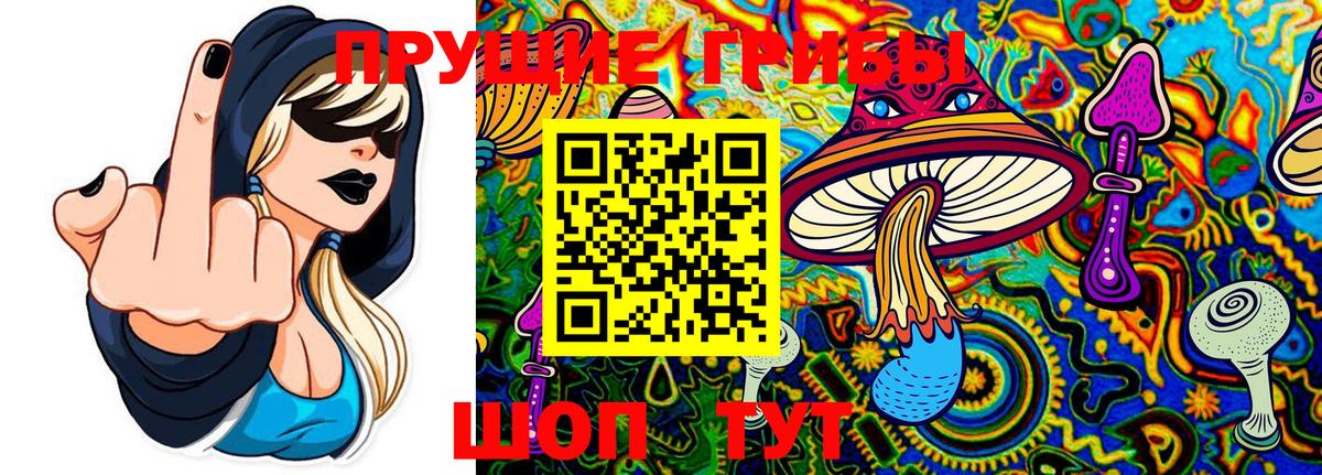 Псилоцибиновые грибы прущие грибы Кушва